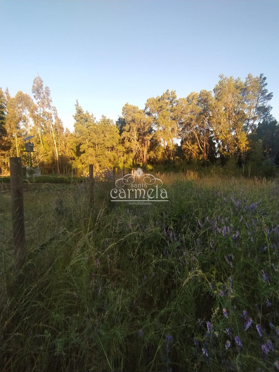 Se vende sitio rural